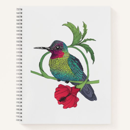 Carnet d'illustration d'oiseau colibri (Devant)