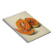 Carnet d'illustrations de melon de cantaloupe coup (Côté Droit)