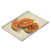 Carnet d'illustrations de melon de cantaloupe coup (Côté gauche)