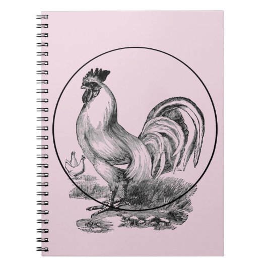 Carnet d'illustrations vintage (Devant)