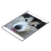 Carnet d'image de Malamute de loup (Côté gauche)