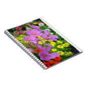 Carnet d'impression de fleurs cosmos rose (Côté Droit)