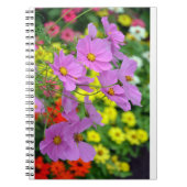 Carnet d'impression de fleurs cosmos rose (Devant)