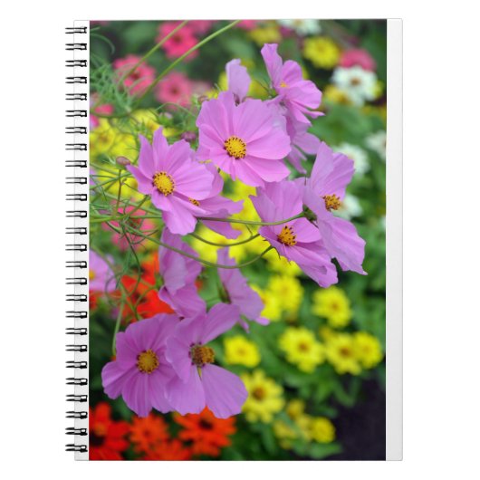 Carnet d'impression de fleurs cosmos rose (Devant)