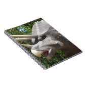 Carnet dinosaure de Tricératops (Côté Droit)