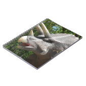 Carnet dinosaure de Tricératops (Côté gauche)