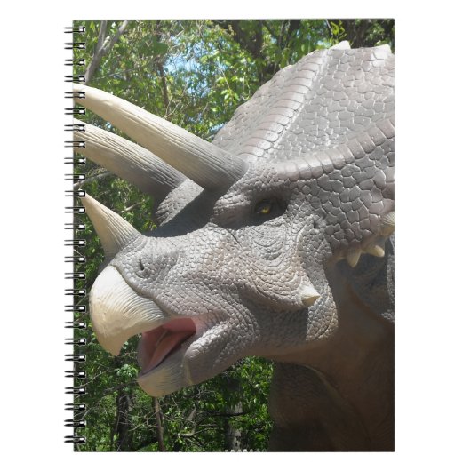 Carnet dinosaure de Tricératops (Devant)
