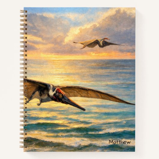 Carnet Dinosaures Ptérodactyles Préhistoriques (Devant)