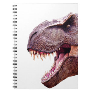 Carnet Dinosaures T-Rex