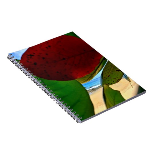 Carnet d'inspiration tropicale (Côté Droit)