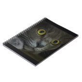 Carnet d'intensité (Côté gauche)