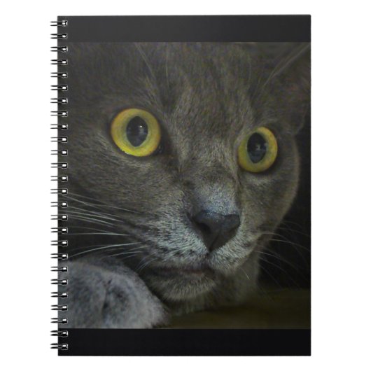Carnet d'intensité (Devant)