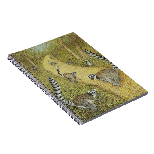 Carnet Dire des contes (Côté Droit)