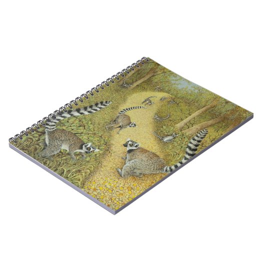 Carnet Dire des contes (Côté gauche)