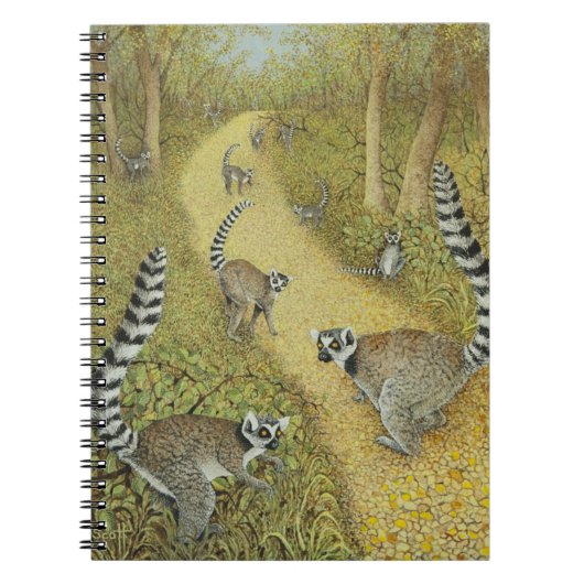 Carnet Dire des contes (Devant)