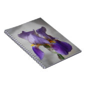 Carnet d'iris à barbe violet (Côté Droit)