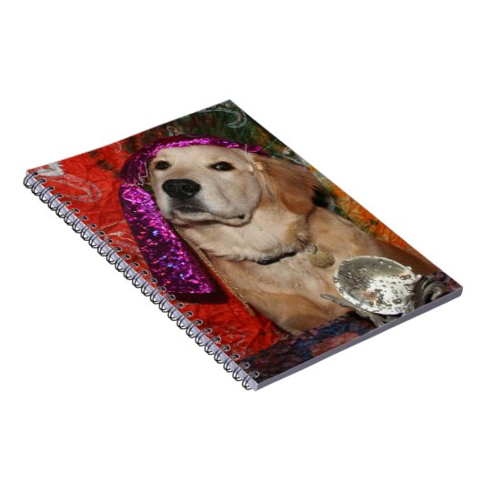 Carnet Diseur de bonne aventure d'or (Côté Droit)