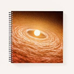 Carnet Disque De Matériel Autour De Star Fu Orionis.