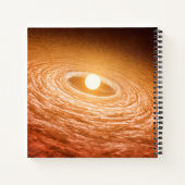 Carnet Disque De Matériel Autour De Star Fu Orionis. (Dos)