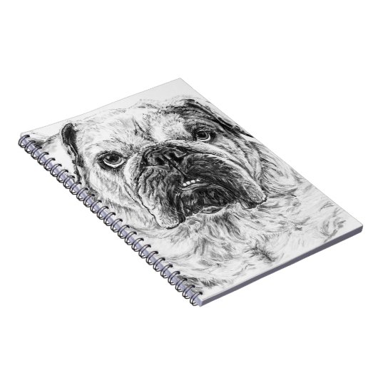 Carnet DIVA Lilybug (Côté Droit)