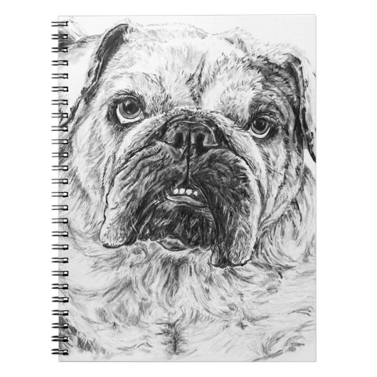 Carnet DIVA Lilybug (Devant)