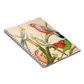 Carnet Diverses perroquets (Côté Droit)