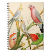 Carnet Diverses perroquets (Devant)