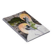 Carnet d'observation du Fou de Bassan (Côté Droit)
