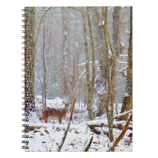 Carnet Doe dans la neige, Deer dans le lac Arrowhead (Devant)