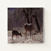 Carnet Doe et fawn.... (Dos)