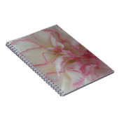 Carnet d'oeillet blanc et rose (Côté Droit)
