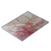 Carnet d'oeillet blanc et rose (Côté gauche)