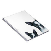 Carnet dog 128 Boston Terrier (Côté Droit)