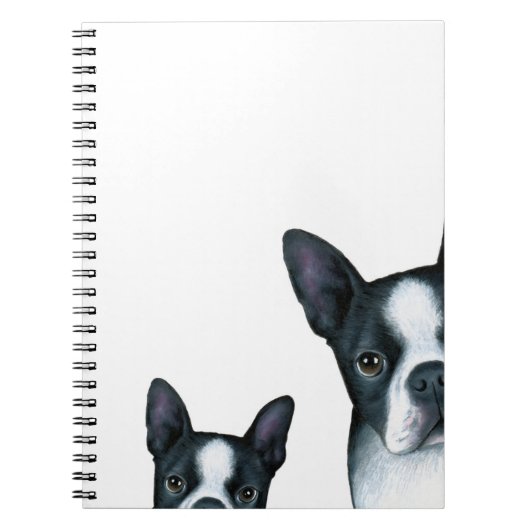 Carnet dog 128 Boston Terrier (Devant)