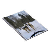 Carnet Dog Sledding à Québec, Canada (Côté Droit)