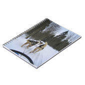 Carnet Dog Sledding à Québec, Canada (Côté gauche)
