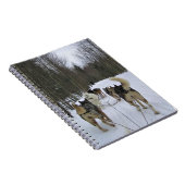 Carnet Dog Sledding à Québec, Canada (Côté Droit)