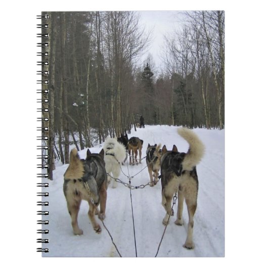 Carnet Dog Sledding à Québec, Canada (Devant)