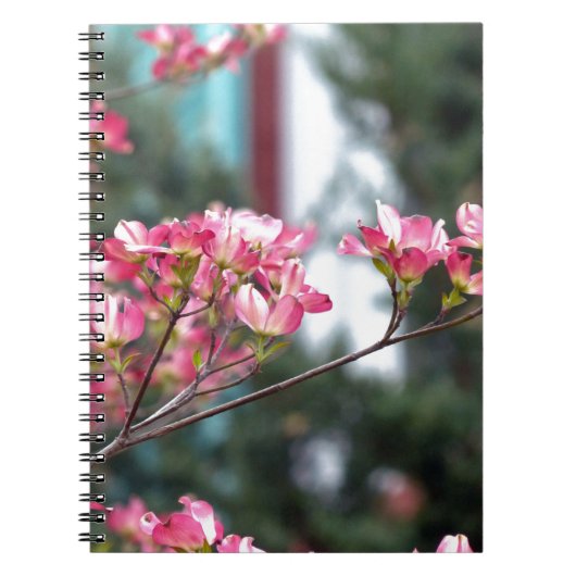 Carnet Dogwood rose (Devant)