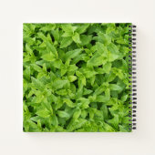 Carnet Doigts verts (Dos)