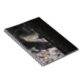 Carnet d'oiseaux (Côté Droit)