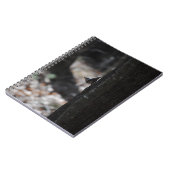 Carnet d'oiseaux (Côté gauche)