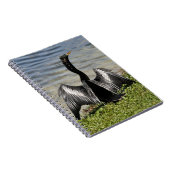 Carnet d'oiseaux d'Anhinga (Côté Droit)