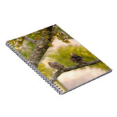 Carnet d'oiseaux de colombes de deuil (Côté Droit)