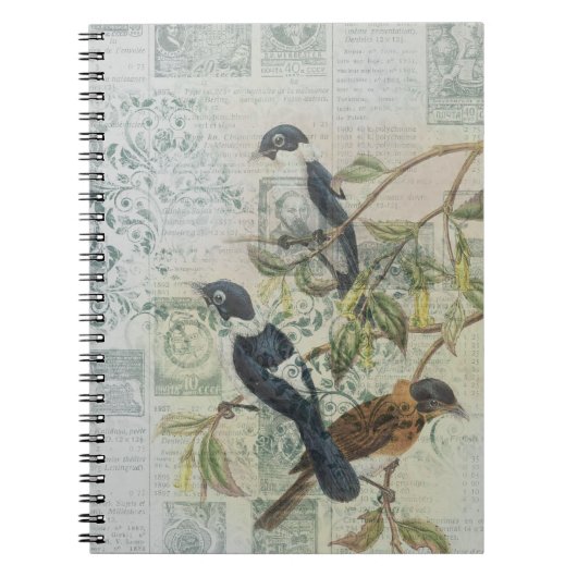 Carnet d'oiseaux victoriens Vintages bleus | Éléga (Devant)