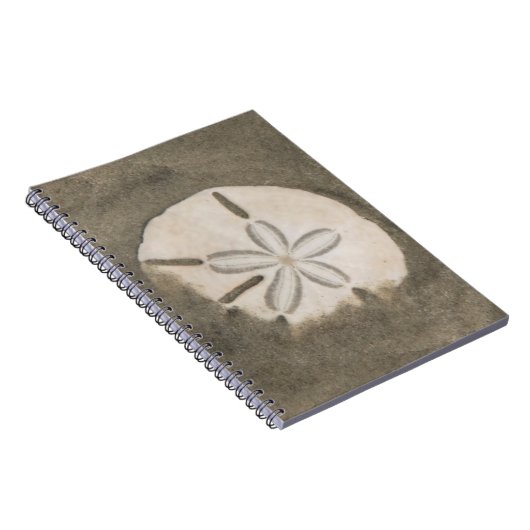 Carnet Dollar de sable (Echinarachnius parma) (Côté Droit)