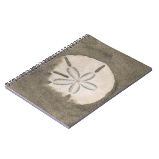 Carnet Dollar de sable (Echinarachnius parma) (Côté gauche)