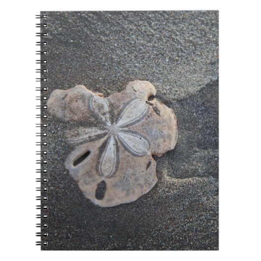 Carnet Dollar des sables sur le sable (Devant)