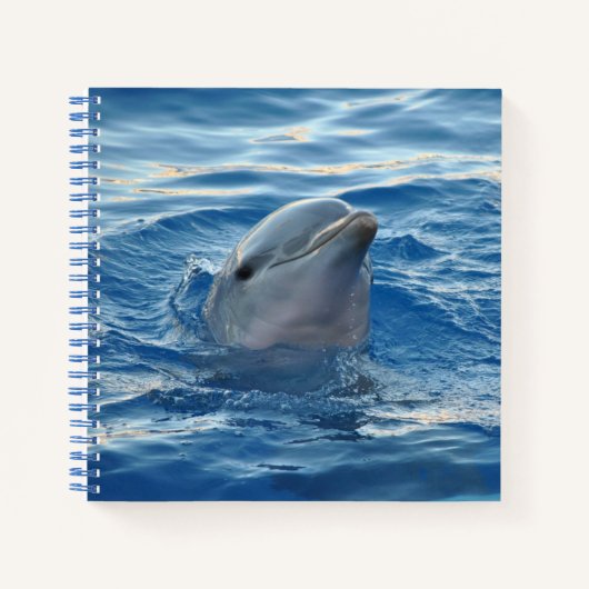 Carnet Dolphin Face in Ocean Cute Photo (Devant)