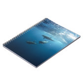 Carnet Dolphin Family (Côté gauche)